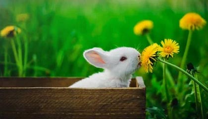 体育新闻中心推动体育赛事数据加密与安全技术研发，体育数据新闻案例