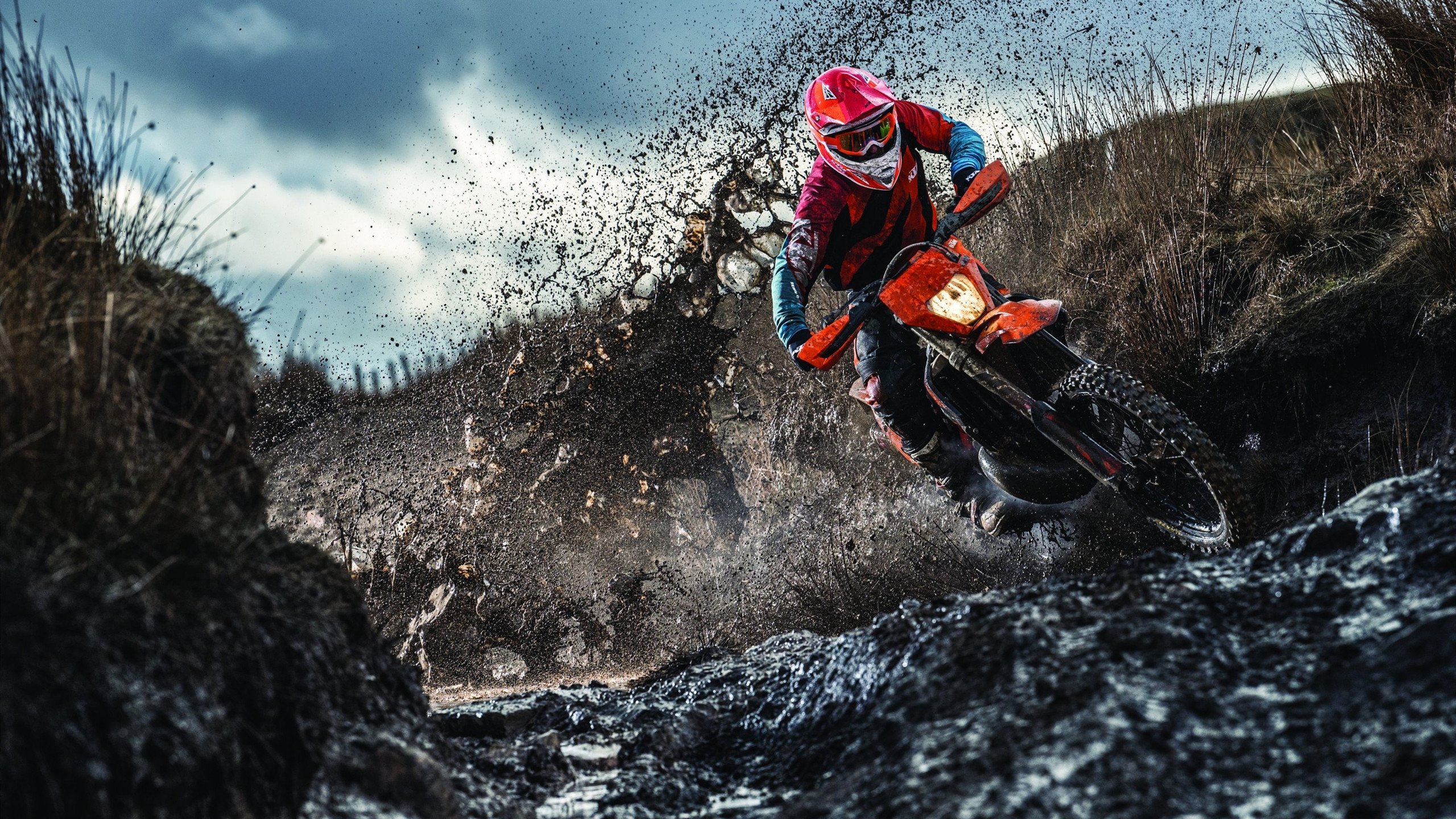 波兰队未来展望：如何通过加强队伍协作提升整体实力，波兰队友